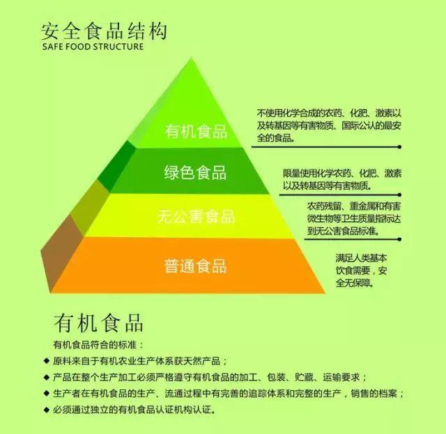 开云移动端- 沃尔夫斯堡主场餐饮服务升级，引入有机食品供应链  